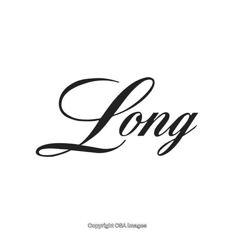 Elegant Script Font Depicting the Word 'Long' in Calligraphic Style