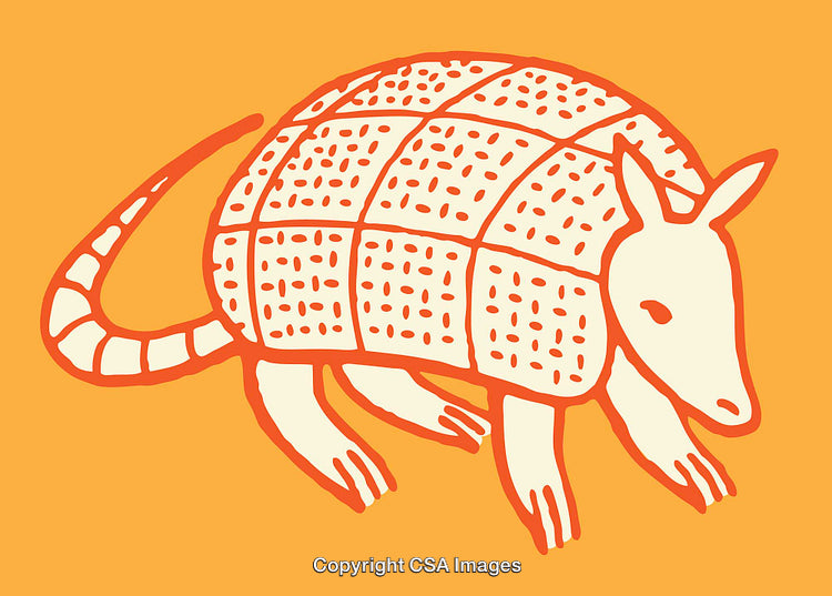 Colorful Armadillo Line Art Illustration on Vibrant Background