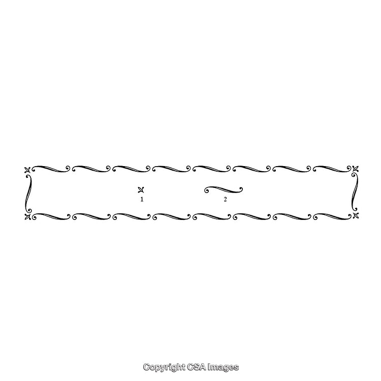 Elegant Black And White Decorative Flourish Border Design With Ornamental Details