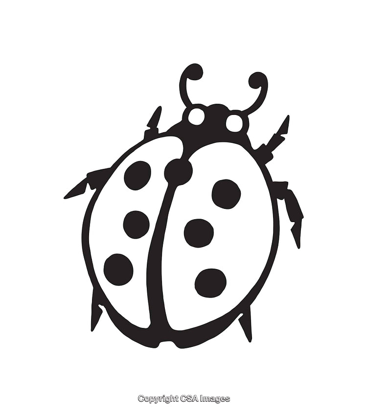 Black and White Line Art Illustration of a Ladybug Insect