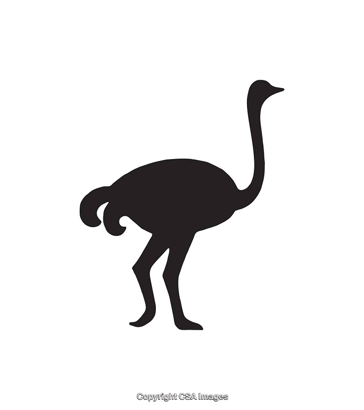 Silhouette of an Ostrich Icon in Black and White Style