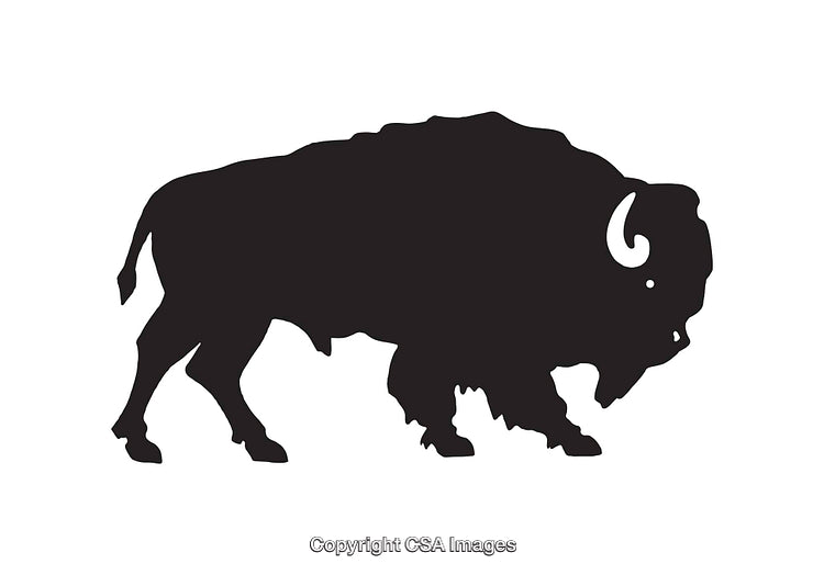 Silhouette of an American Bison in a Black and White Illustration