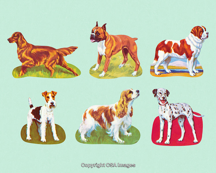 Collection of Six Colorful Illustrations of Various Dog Breeds