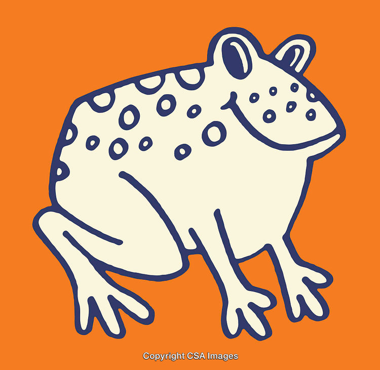 Playful Frog Line Art Illustration on Bright Orange Background