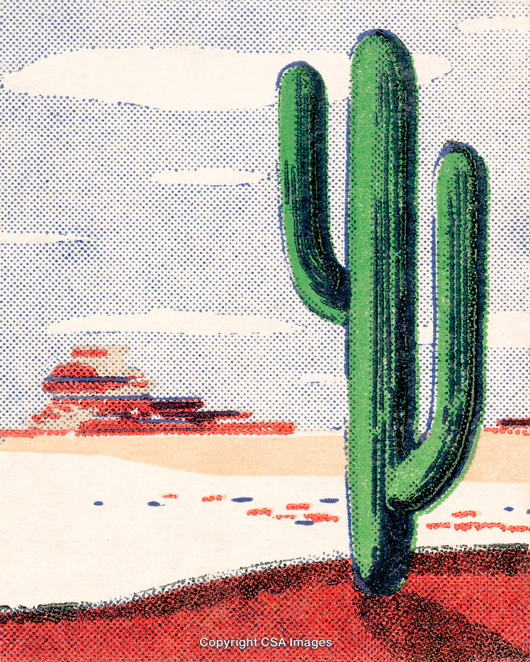 Abstract Illustration of a Desert Landscape with Cactus and Red Rock Formations