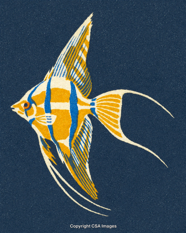 Artistic Depiction of a Vibrant Colorful Fish Against a Dark Background