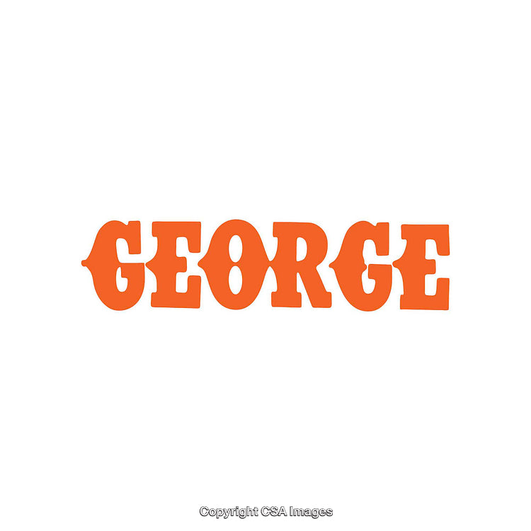 Bold Orange Text Illustration Featuring the Name 'George' in Unique Typography