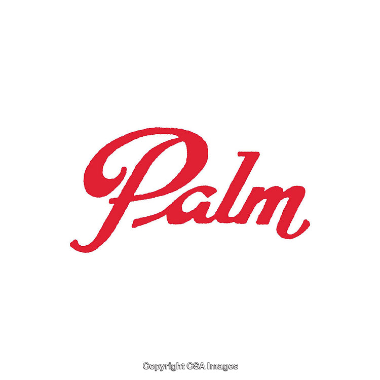 Red Palm Themed Illustration on White Background with Elegant Typography