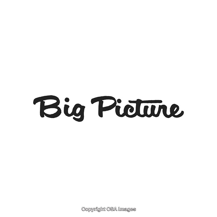 Creative Text Design Featuring the Statement 'Big Picture' in Black Typography