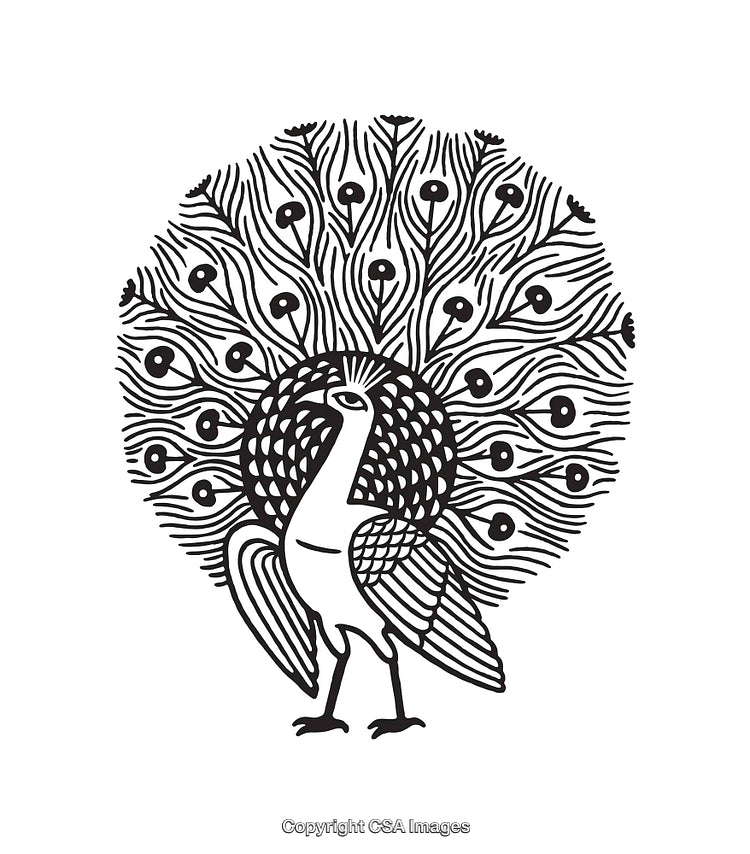 Black and White Line Art Illustration of a Peacock with Detailed Tail Feathers