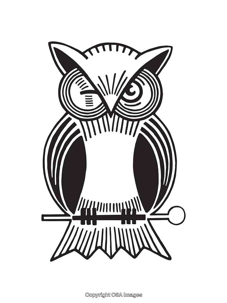 Black and White Stylized Illustration of an Owl on a Perch