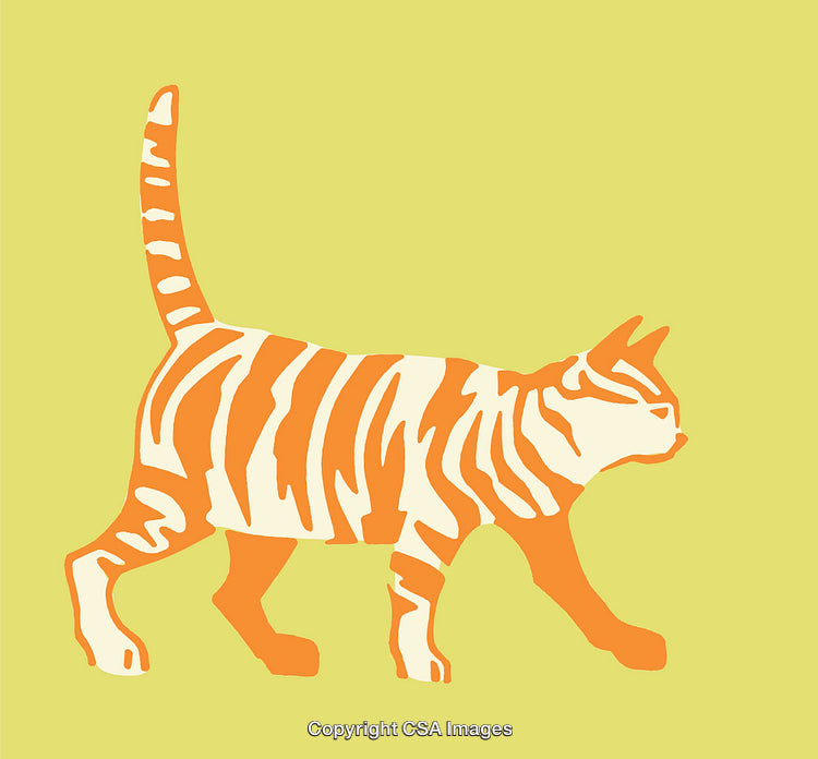 Stylized Illustration of an Orange Tabby Cat in a Minimalist Design