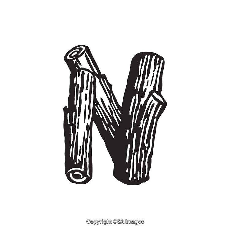 Wooden Style Letter N Illustration with Rustic Design Elements