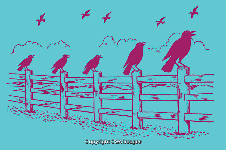 Colorful Line Art Illustration of Birds Perched on a Fence in Nature
