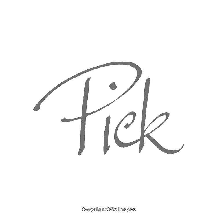 Stylish Gray Calligraphic Word Art Design on White Background