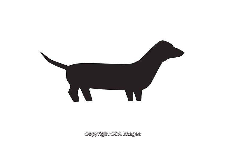 Minimalist Silhouette Icon of a Dachshund Dog in Profile