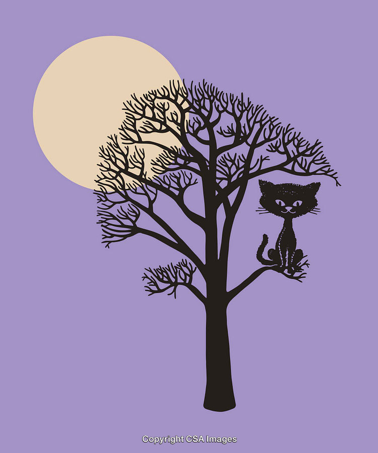 Silhouette of a Cat Perched on a Tree Under the Moonlight
