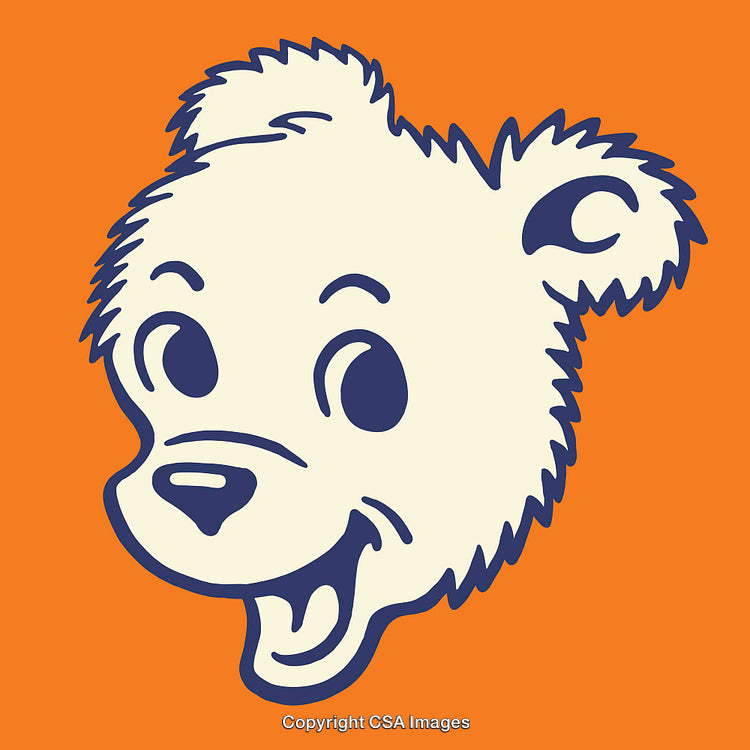 Cartoon Bear Head Illustration on Bright Orange Background