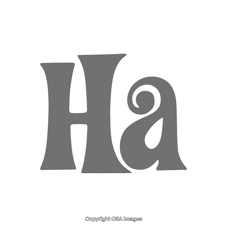 Playful Monochrome Typography Featuring Stylized Letters Ha