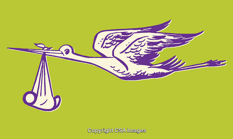 Purple Stork Carrying Baby Illustration on Light Green Background