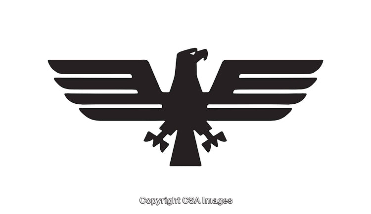 Black and White Line Art Illustration of an Eagle Emblem