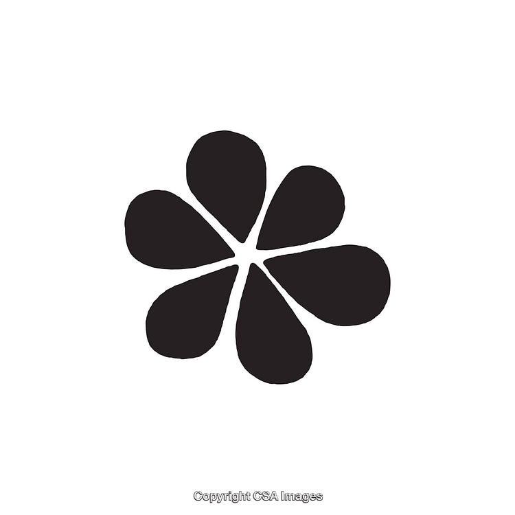 Abstract Black Flower Silhouette Design On a White Background