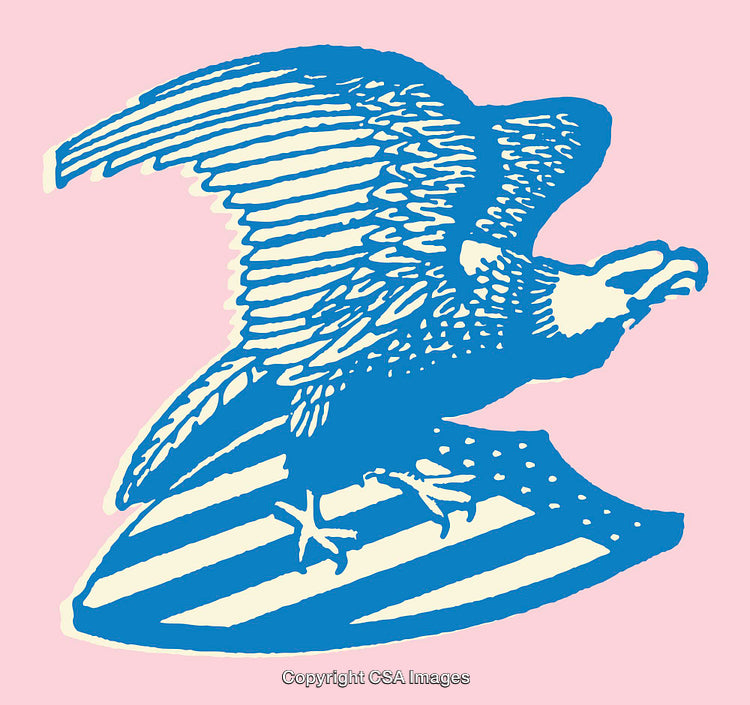 Blue Eagle Line Art on Pink Background with Patriotic Design
