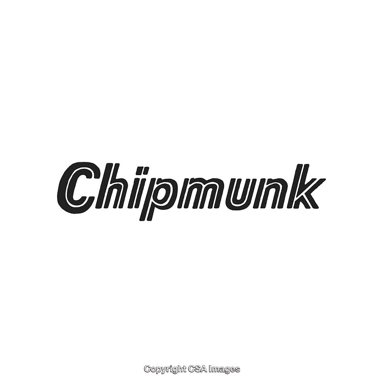 Stylized Black Text Depicting the Word Chipmunk on a White Background