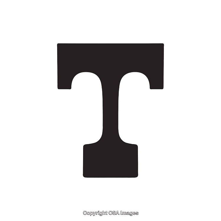 Bold Black Letter T on Clean White Background