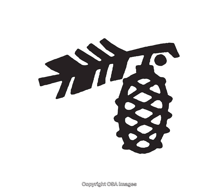 Black And White Pinecone Icon With Stylized Branch