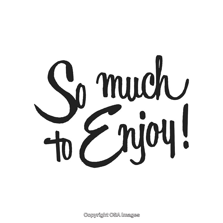 Inspirational Hand-Drawn Quote Displaying 'So Much to Enjoy' in Black Letters