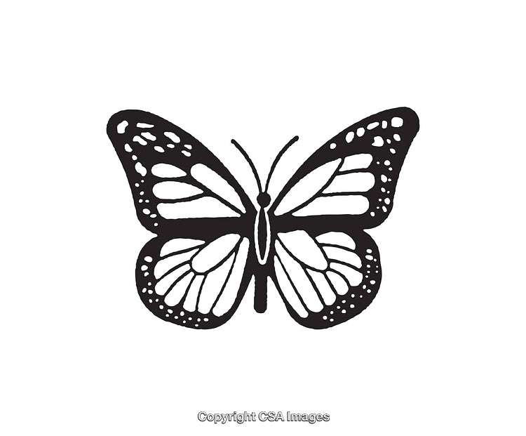 Black And White Line Art Illustration of a Butterfly Design