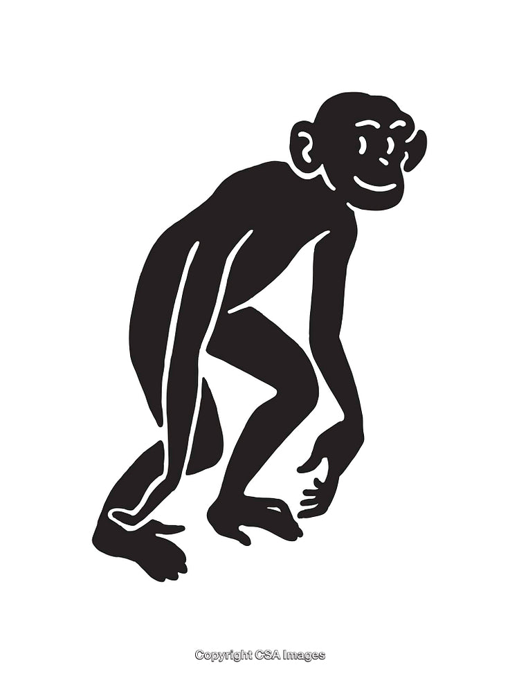 Abstract Black and White Line Art Illustration of a Primate Silhouette