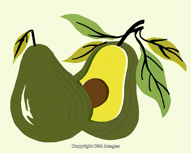 Illustration of Avocados with Leaves in a Simplistic and Artistic Style
