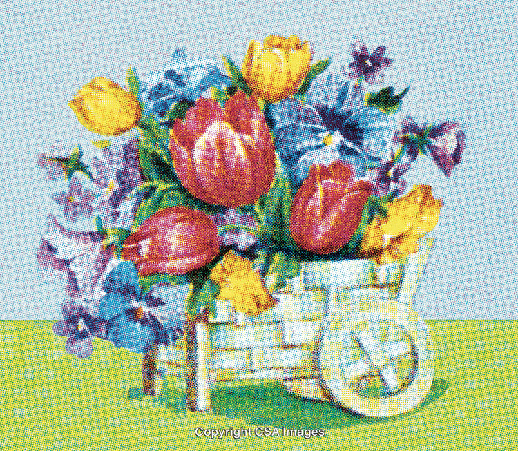 Floral Arrangement of Colorful Blooms in a Decorative White Wheelbarrow