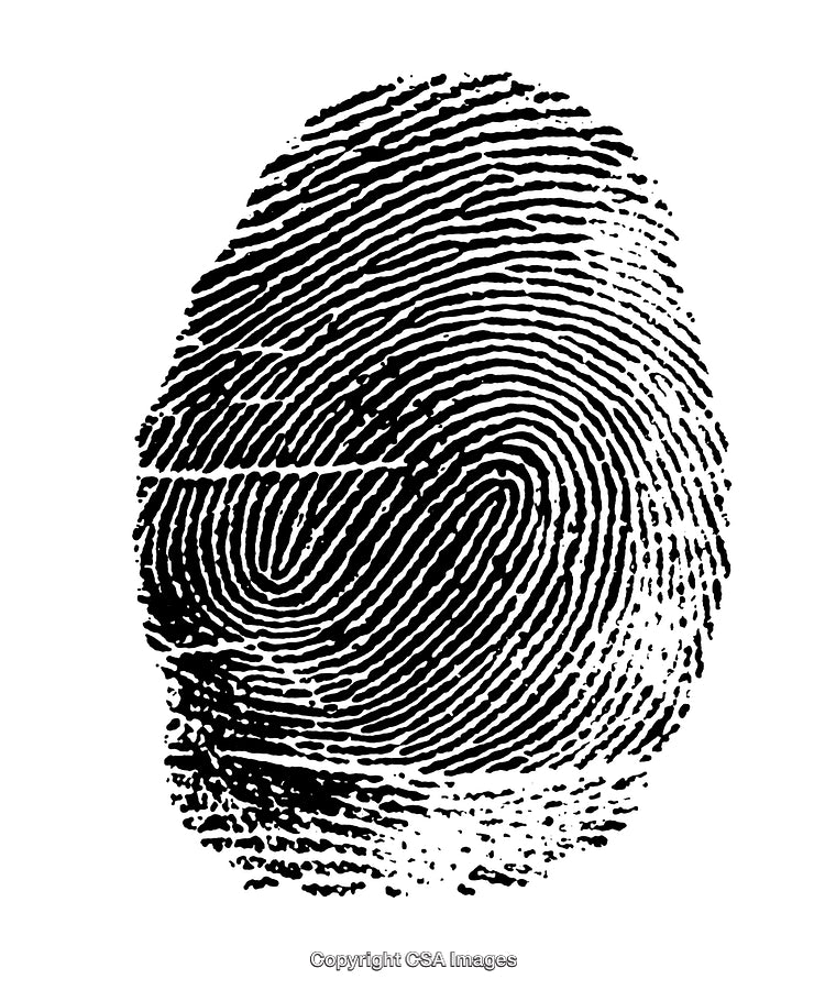 Detailed Black and White Engraving of a Unique Fingerprint Pattern