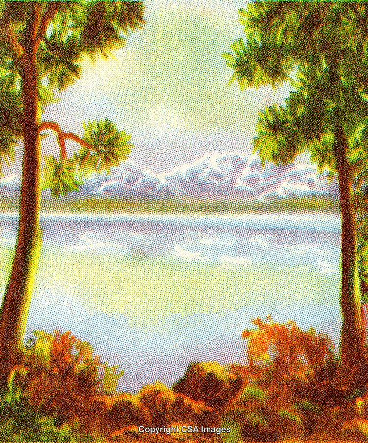 Scenic Mountain Lake View Framed by Trees in Vibrant Summer Colors