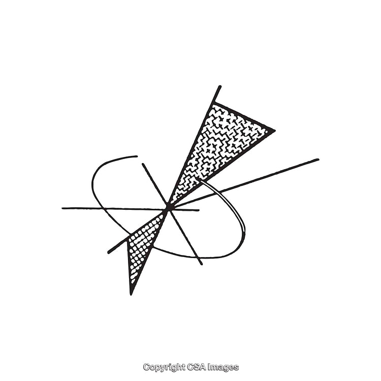 Abstract Black and White Geometric Dingbat Design