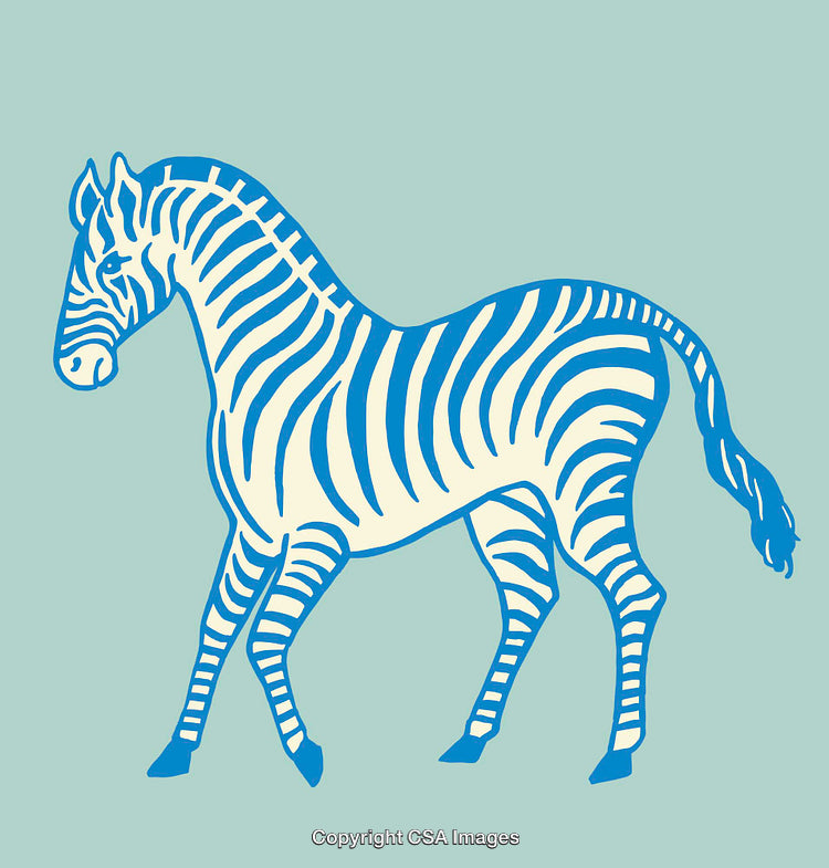 Blue And White Zebra Illustration in a Minimalist Line Art Style