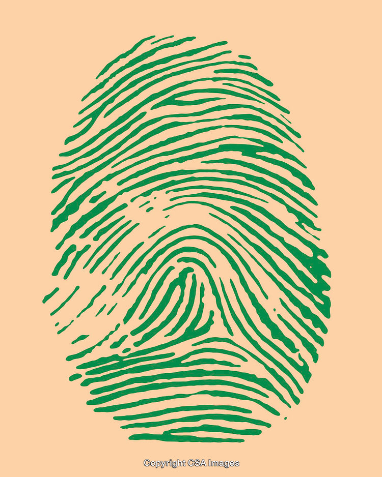 Green Fingerprint Design on Peach Background, Abstract Line Art
