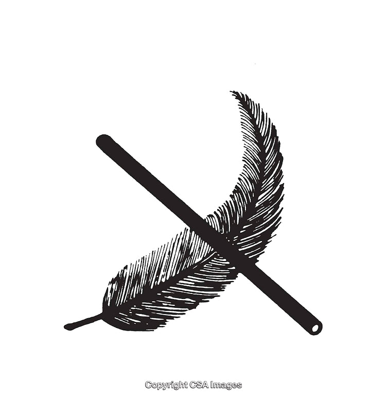 Black And White Line Art Illustration of a Feather and Rod Design