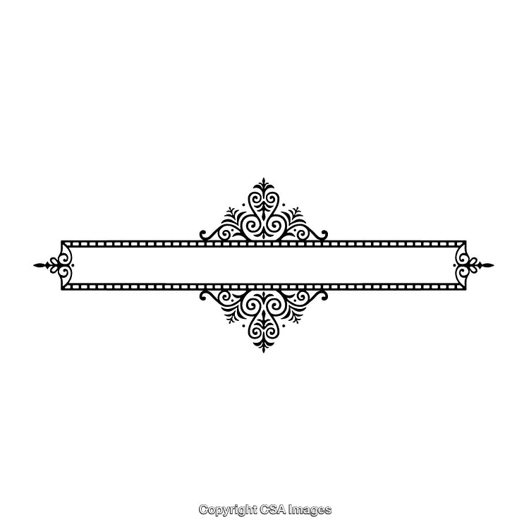 Elegant Ornamental Frame with Intricate Black and White Design Elements