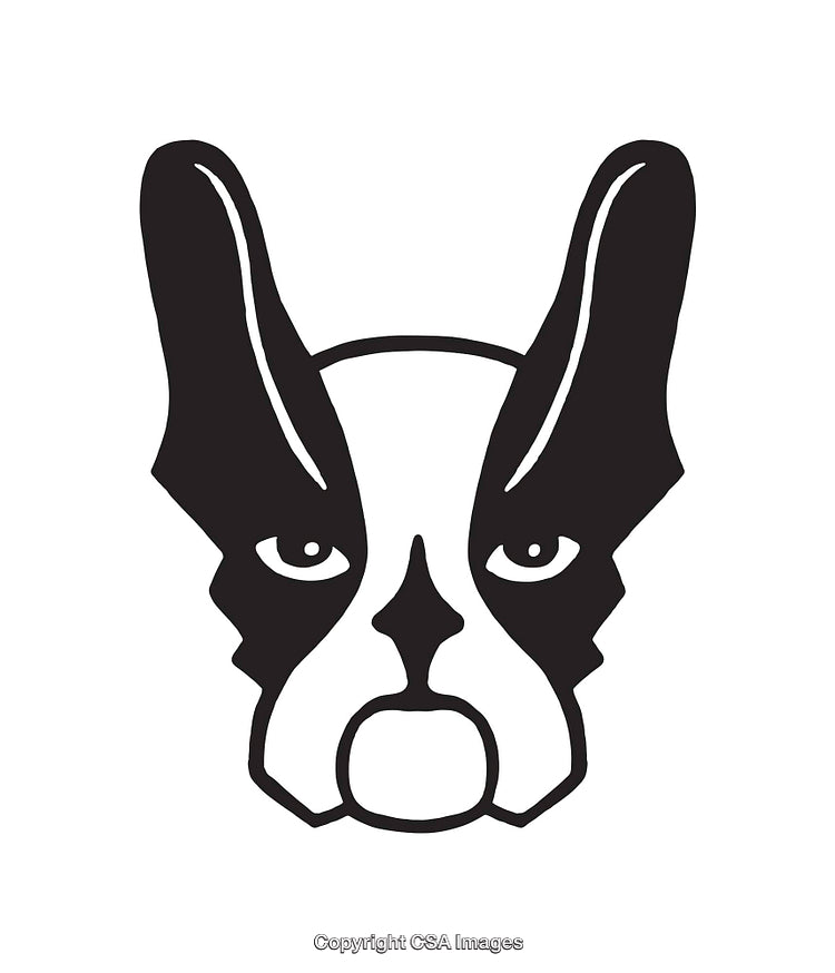 Minimalistic Black and White Line Art Illustration of a Dog Face