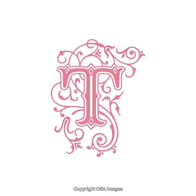 Intricate Pink Letter T with Floral and Vintage Design Elements