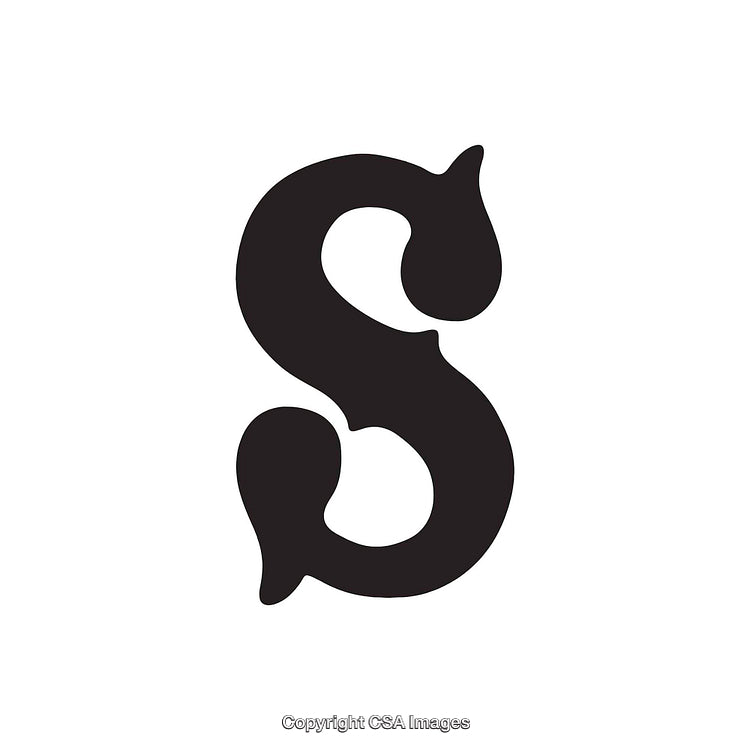 Elegant Artistic Black Letter S on White Background for Styling Purposes