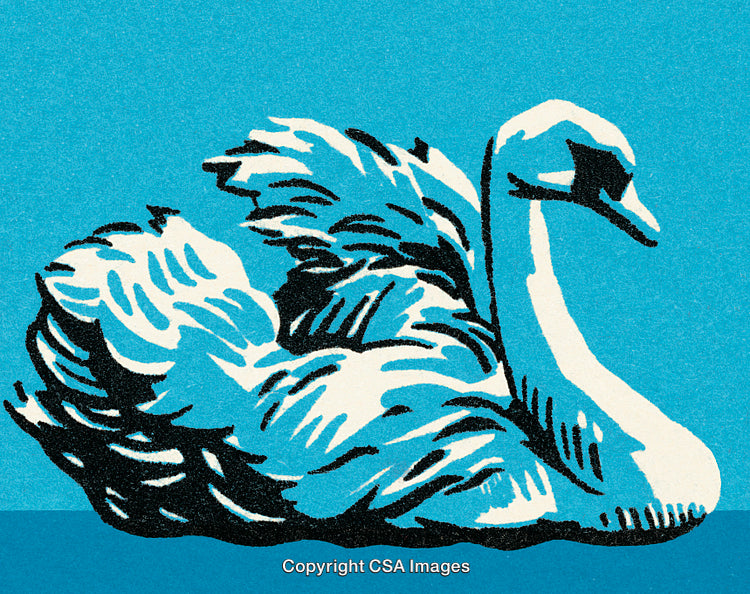 Stylized Illustration of Swan on Blue Background with Bold Artistic Details