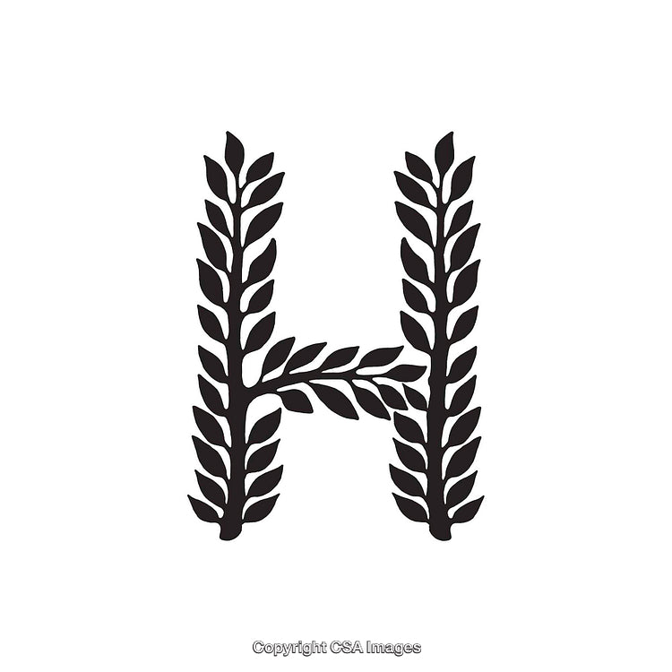 Elegant Black Laurel Letter H on White Background