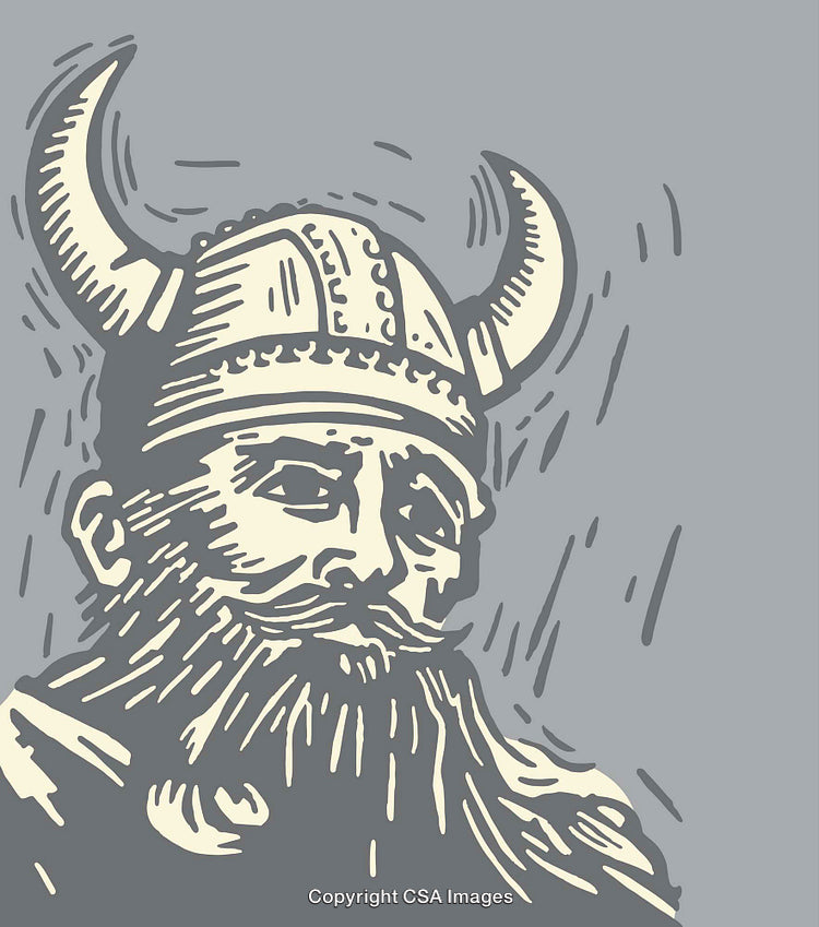 Illustration of a Viking Warrior in Horned Helmet in Vintage Style