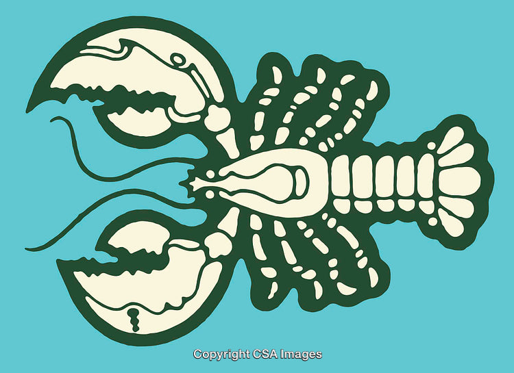 Stylized Green Lobster Illustration on a Simple Color Background