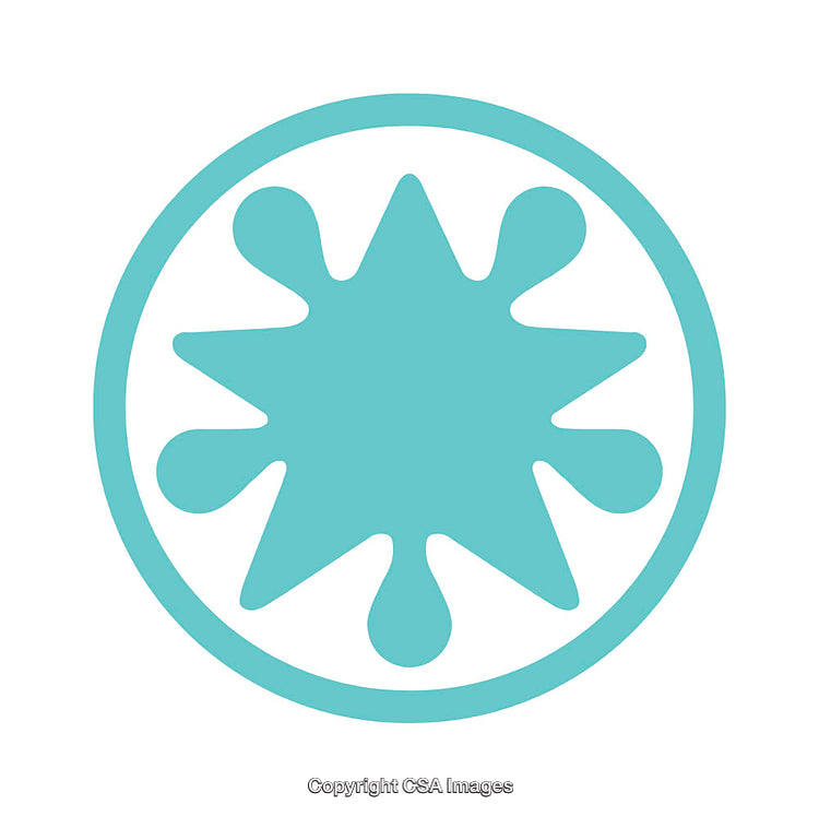 Turquoise Starburst Symbol Icon with Circular Border on White Background